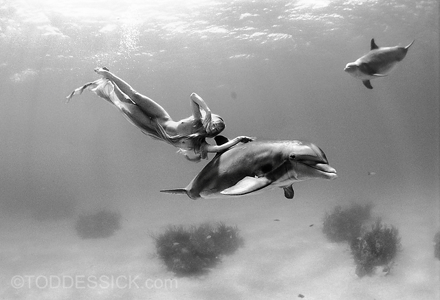 Nacktmodel schwimmt mit Delfin - Todd Essick - Beginnings