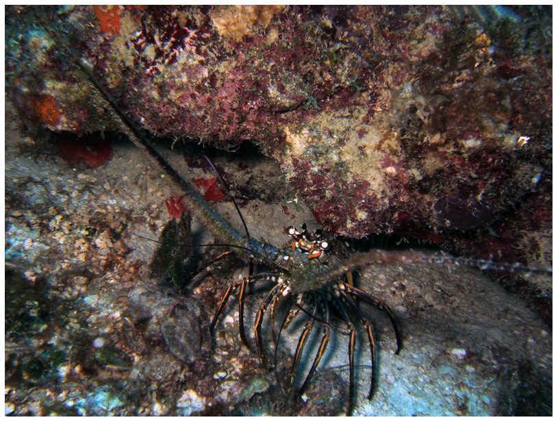 Bayahibe, Bayahibe,Dominikanische Republik