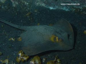 El Hierro, El Hierro,Spanien