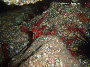 El Hierro, El Hierro,Spanien