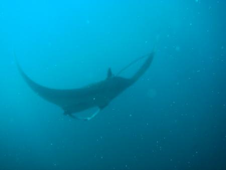 Sub Aqua Dive Center,Khao Lak,Andamanensee,Thailand