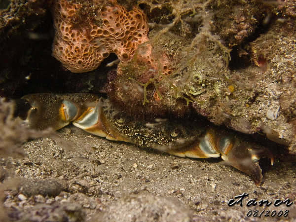 Hausbucht Scuba Valdaliso, Rovinj, Rovinj,Kroatien