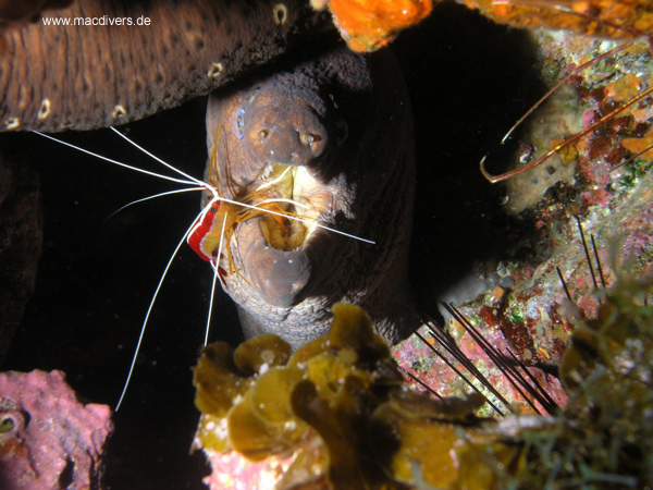 El Hierro, El Hierro,Spanien