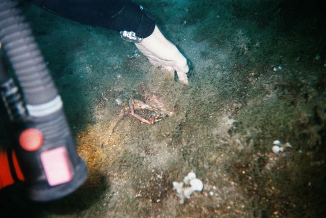 Lanzarote, Lanzarote,Spanien