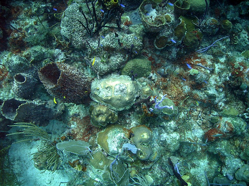 Bayahibe - Parque Nacional II, Bayahibe,Dominikanische Republik