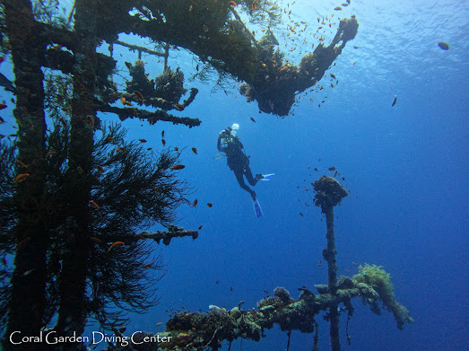 Cedar Pride, Coral Garden Diving Center, Aqaba, Jordanien