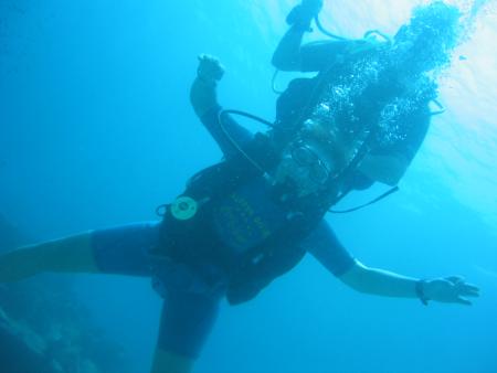 Calypso Diving,Koh Samui,Golf von Thailand,Thailand