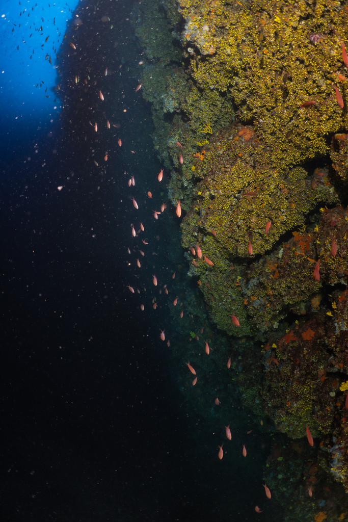 Punta Diving, Betina, Kroatien
