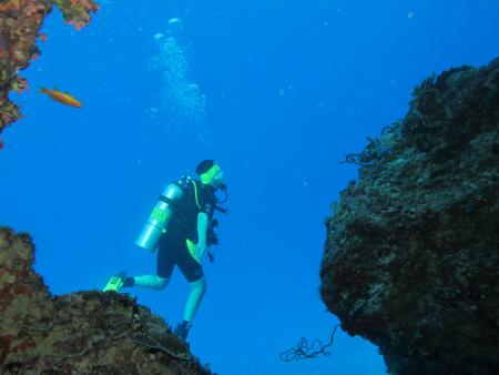 Aeolus Diving,Fihalhohi,Malediven