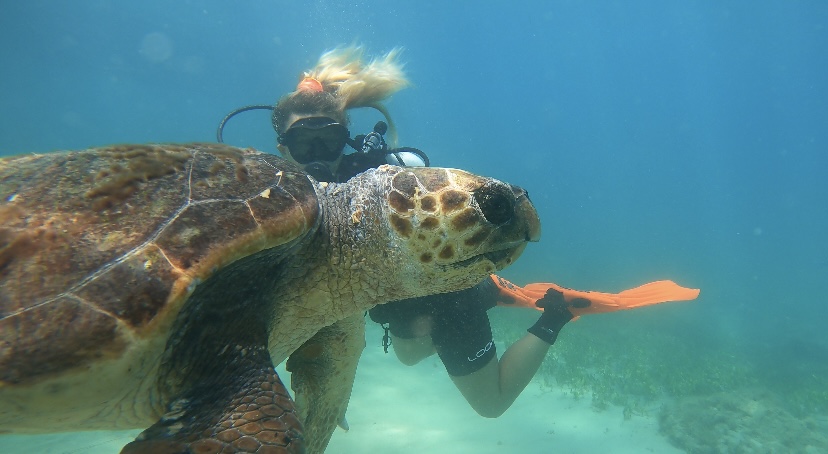 Turtle with Elena, Sun & Fun Adventure (Coral Beach Hotel), Paphos, Zypern