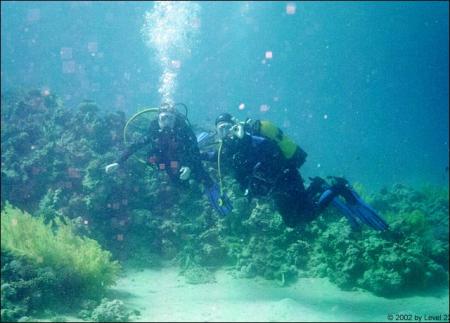Extra Divers,Makadi Bay,Safaga,Ägypten