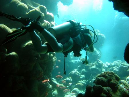 Matthes Reef Divers,Resta Reef Resort,Marsa Alam,Marsa Alam und südlich,Ägypten