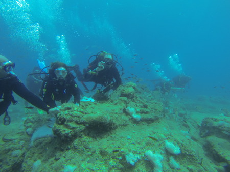 Side Silence Diving,Side,Türkei