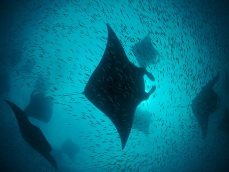 Dive Center Yap / Klaus Föhles,Mikronesien