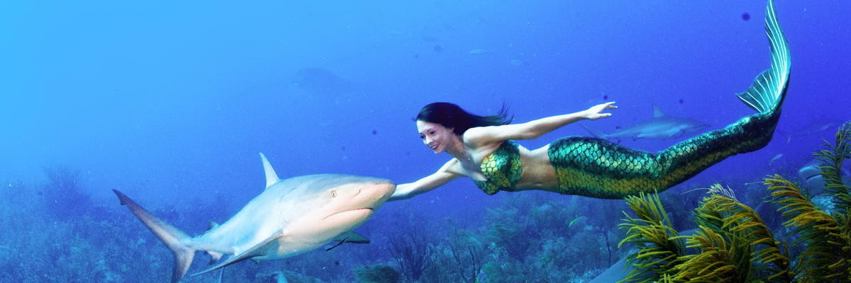 Mermaiding Diveinside News