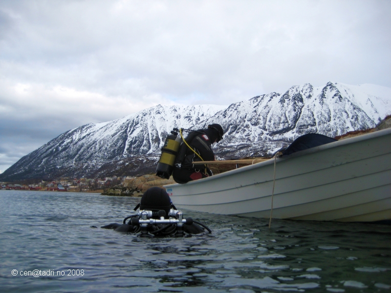 Troms/Grotavaer, Troms/Grotavaer,Norwegen