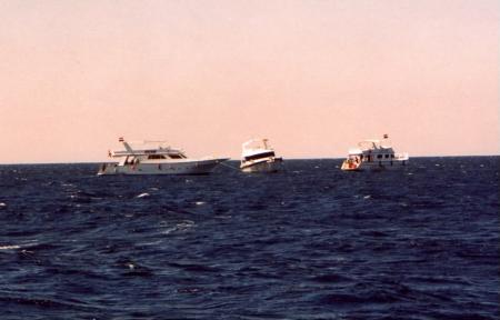 Wrack der SS Thistlegorm (Sharm El Sheikh),Ägypten