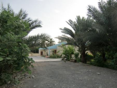 EXTRA DIVERS,Khasab,Musandam,Oman