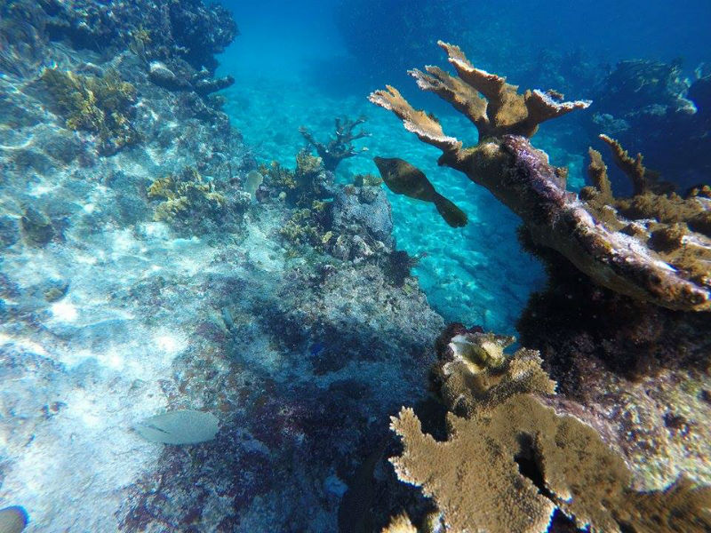 Coral Beach,Varadero, Las Antillas Diving Club, Varadero, Kuba