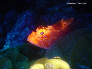 El Hierro, El Hierro,Spanien