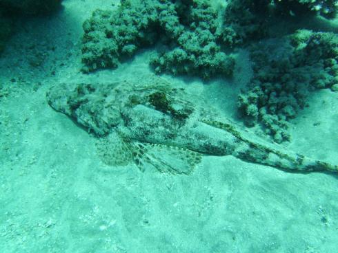 Beachsafari Diving Camp Marsa Alam,Marsa Alam und südlich,Ägypten