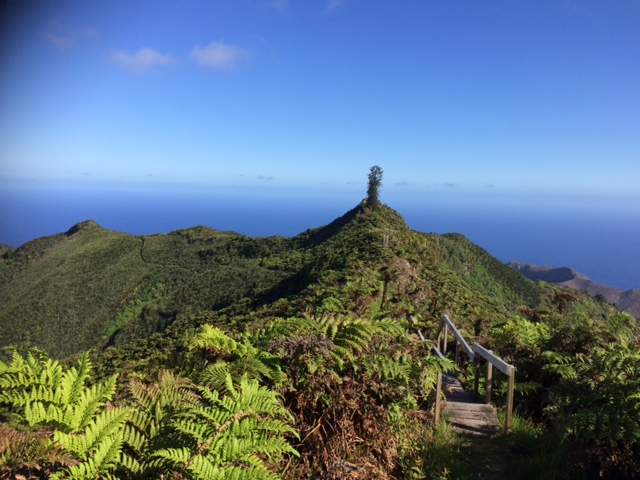 Dive Saint Helena  - Into the Blue, Jamestown - St.Helena, St. Helena, Ascension und Tristan da Cunha