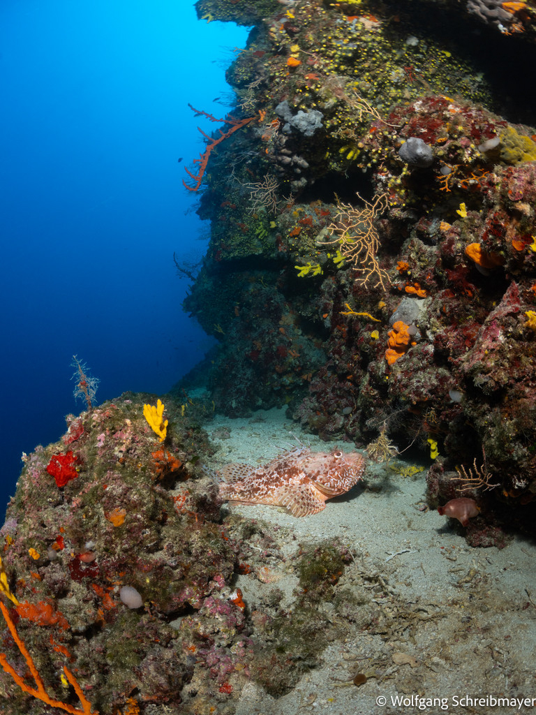 Punta Diving, Betina, Kroatien