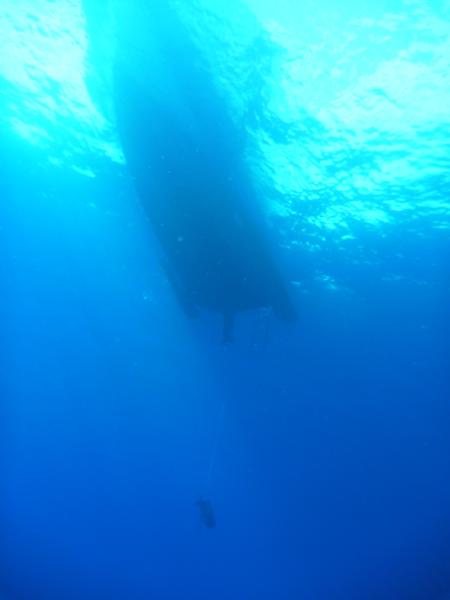 UnderHundred Diving Center,San Vito lo Capo (Sizilien),Italien