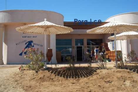 Paradise Diving Center,Makadi Bay,Safaga,Ägypten