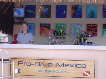Pro Dive Mexico,Catalonia Riviera Maya & Yucatan Beach,Puerto Aventuras,Mexiko