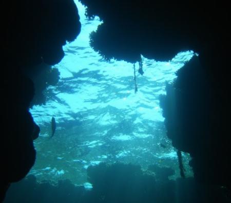 ADFunDive im Flora Bungalow Resort,Marsa Alam,Marsa Alam und südlich,Ägypten