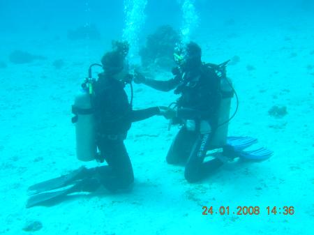 New Searay Diving Center,Hurghada,Ägypten