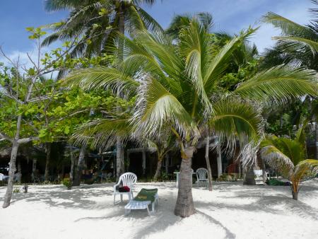 Malapascua Exotic Island Resort,Philippinen