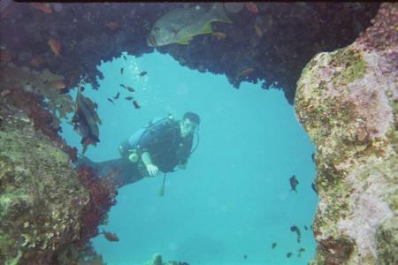 Bavaria Blue Diving,Hurghada,Ägypten