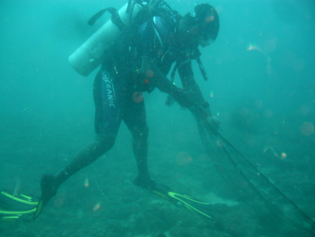 Colombo Divers,Negombo,Sri Lanka