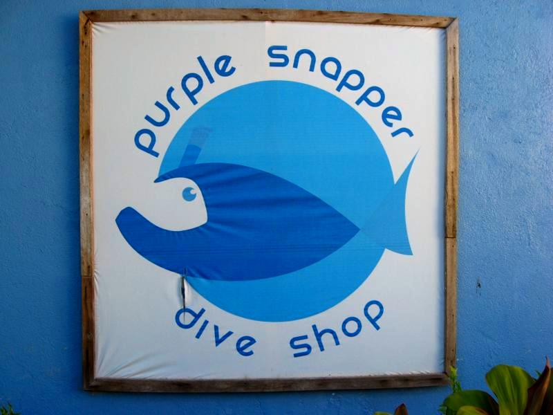 Purple Snapper, Malapascua Island, Ceb, Purple Snapper, Philippinen