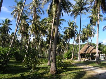 Koh Tao,Thiang Og Bay,Thailand