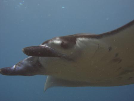 Water Worx Dive Center,Padang Bai,Bali,Indonesien