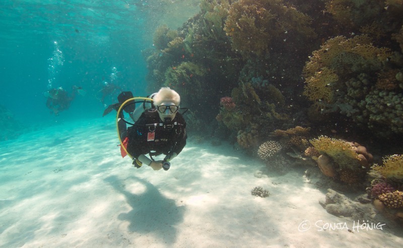 Abu Dabab, diving.DE Akassia, Ägypten, El Quseir bis Port Ghalib