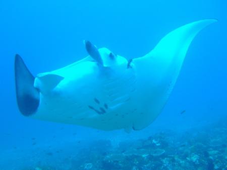 Reefseekers,Labuan Bajo,Allgemein,Indonesien