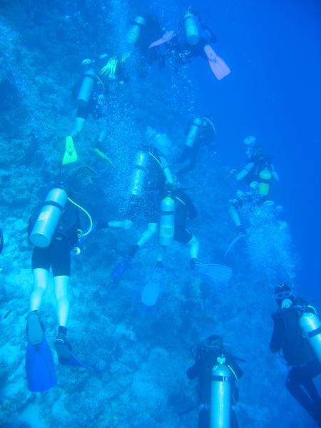 Sinai Divers,Naama Bay,Sharm el Sheikh,Sinai-Süd bis Nabq,Ägypten