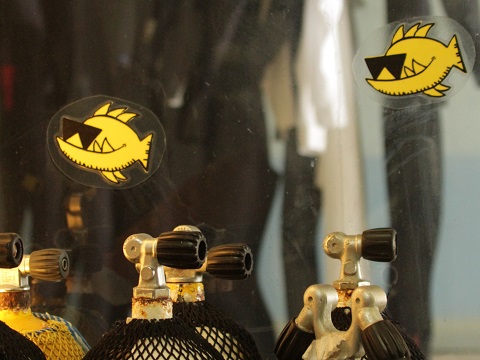 Punkfish passt auf seine Flaschen auf, La Palma Diving, La Palma Diving, La Palma, Kanaren, Spanien, Kanaren (Kanarische Inseln)