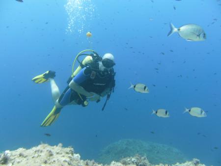 Dive & Fun,Cala D´Or,Mallorca,Balearen,Spanien