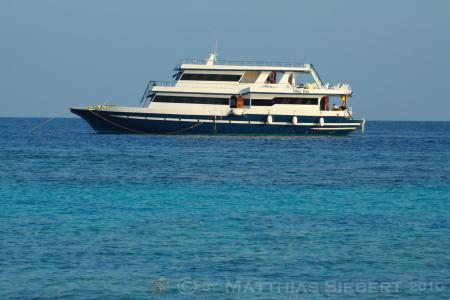 Stingray Safariboot,Malediven