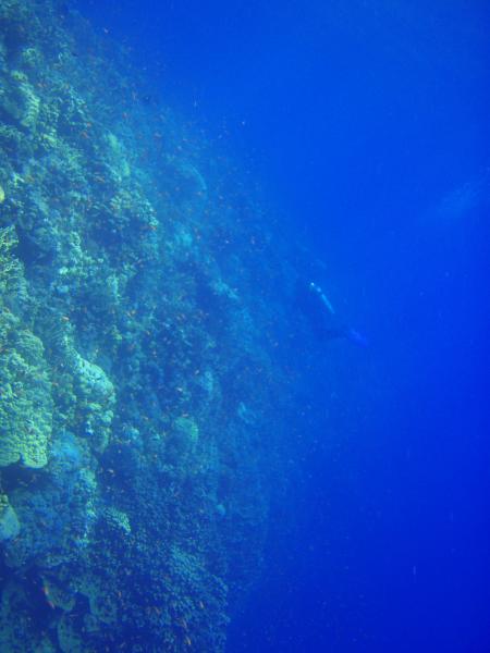 Beachsafari Diving Camp Marsa Alam,Marsa Alam und südlich,Ägypten