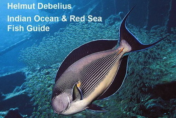 Helmut Debelius - Fischf&uuml;hrer iPad App