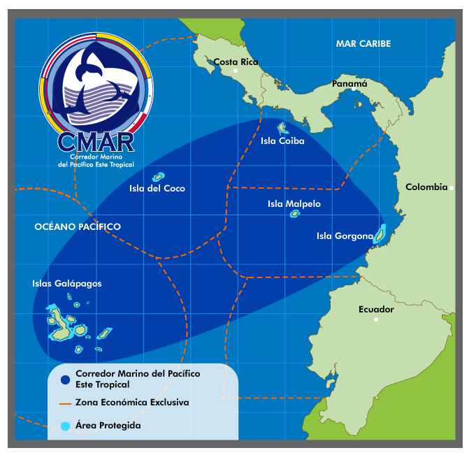 East Pacific Marine Corridor, The Shark Triangle, Galapagos, Cocos, Malpelo, Coiba, Shark Triangle, Scuba Coiba, Santa Catalina, Panama