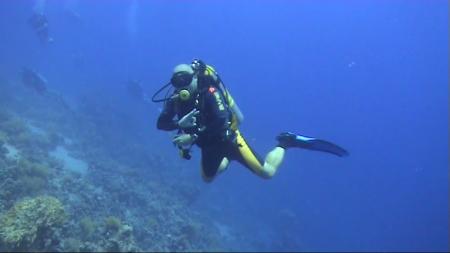 Werner Lau Diving Center Sharm el Sheikh,Sinai-Süd bis Nabq,Ägypten