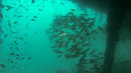 Scuba Quest Dive Center,Kamala,Andamanensee,Thailand