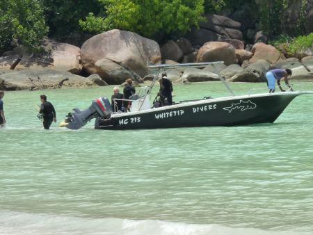Whitetip Divers,Praslin,Seychellen